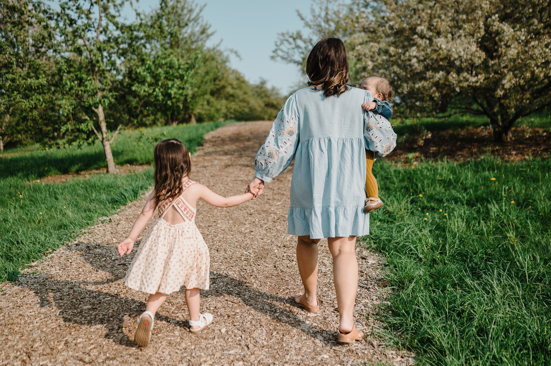 A mother holds a baby in one arm and the hand of her older child with the other as they walk through boston's arnold arboretum in spring