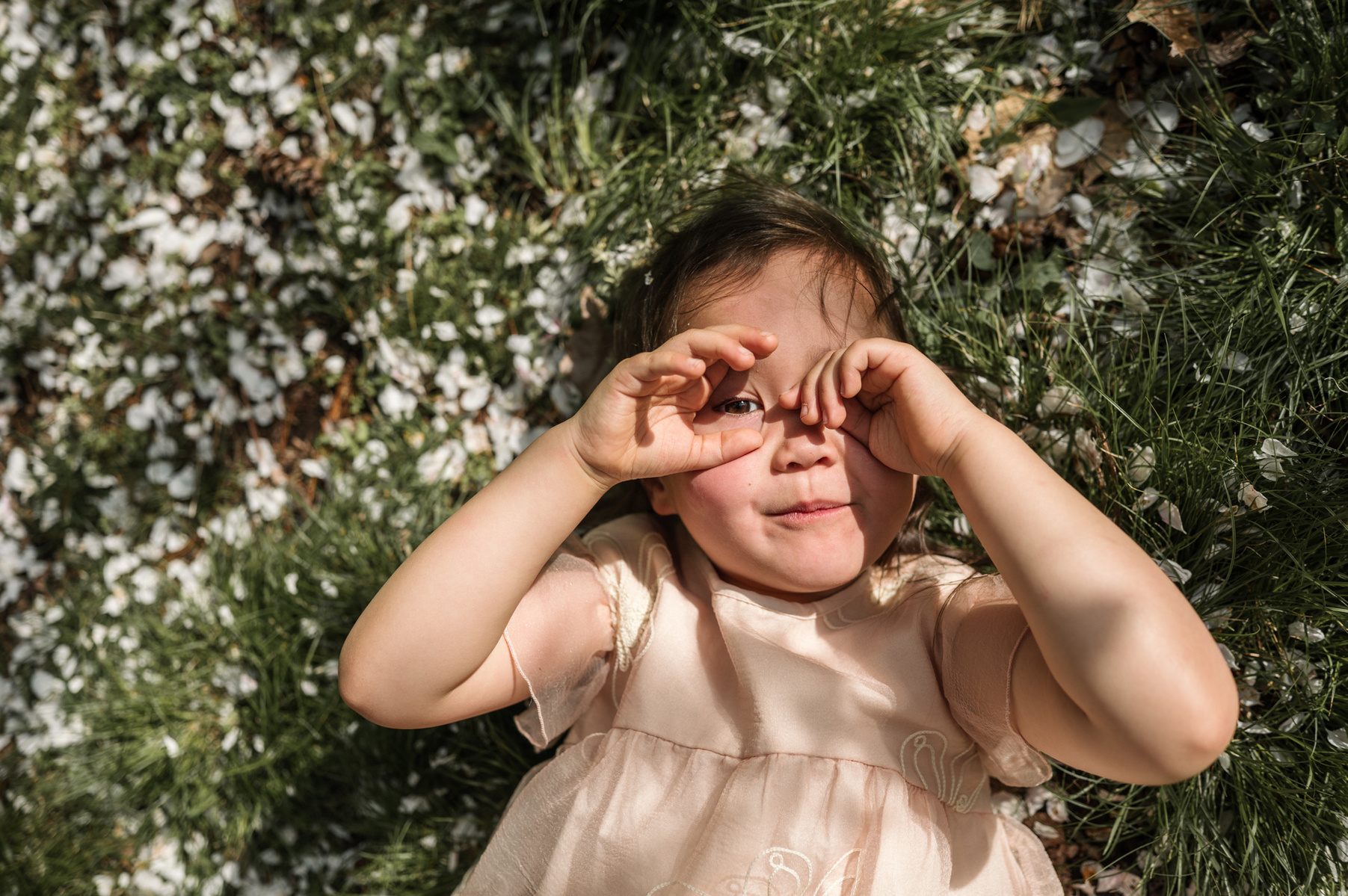 A young girl lays on the grass during their family photo session in Boston's Arnold Arboretum in spring.  Photo by West Roxbury family photographer Korri Leigh Photography