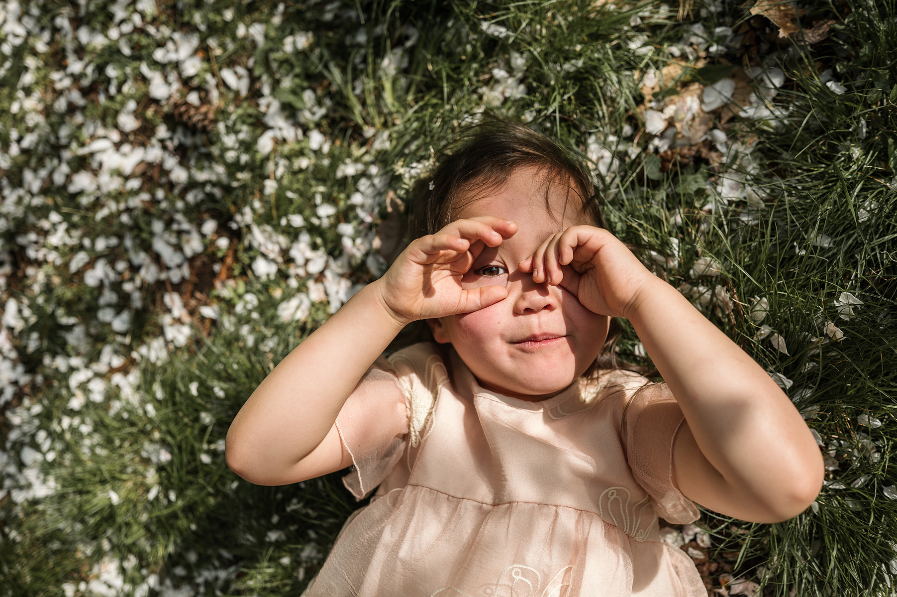 A young girl lays on the grass during their family photo session in Boston's Arnold Arboretum in spring.  Photo by West Roxbury family photographer Korri Leigh Photography