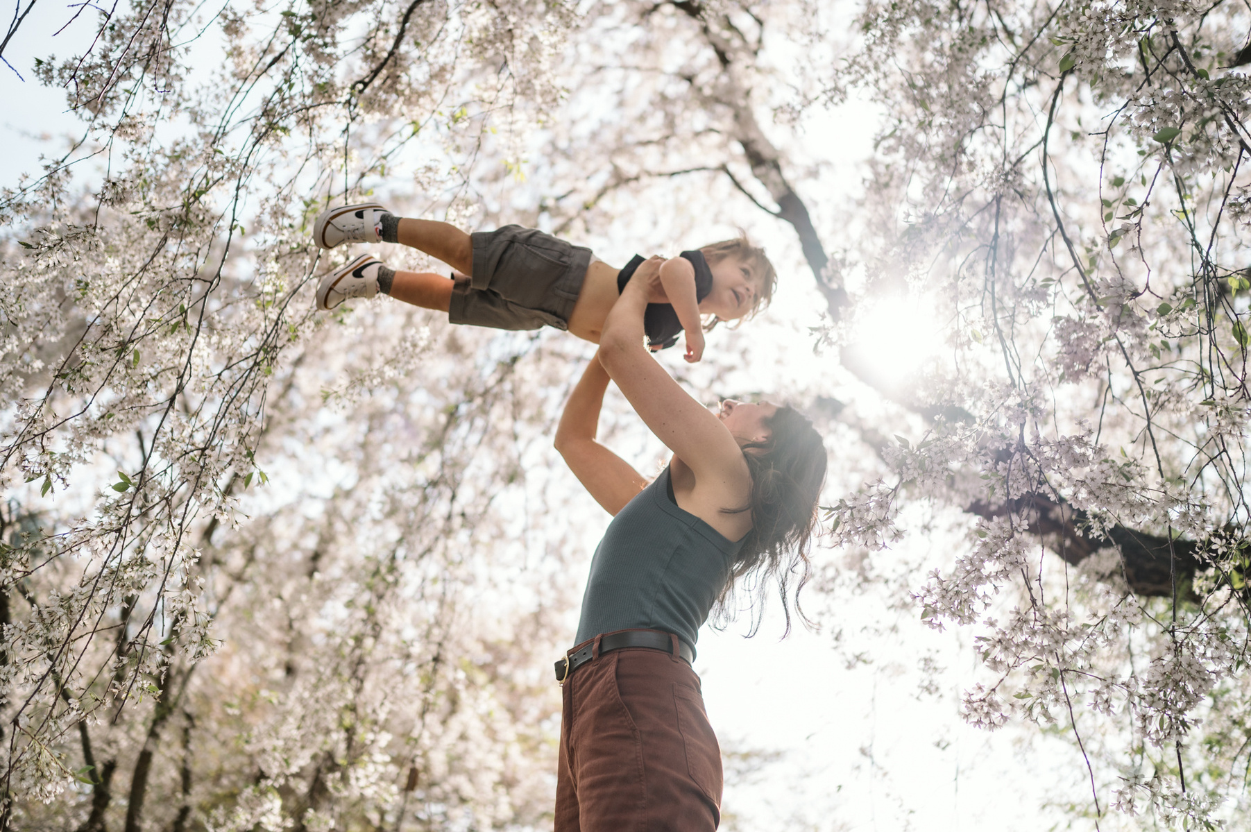 A mother lifts her son in the air during her Jamaica Plain family photo session in the Arnold Arboretum