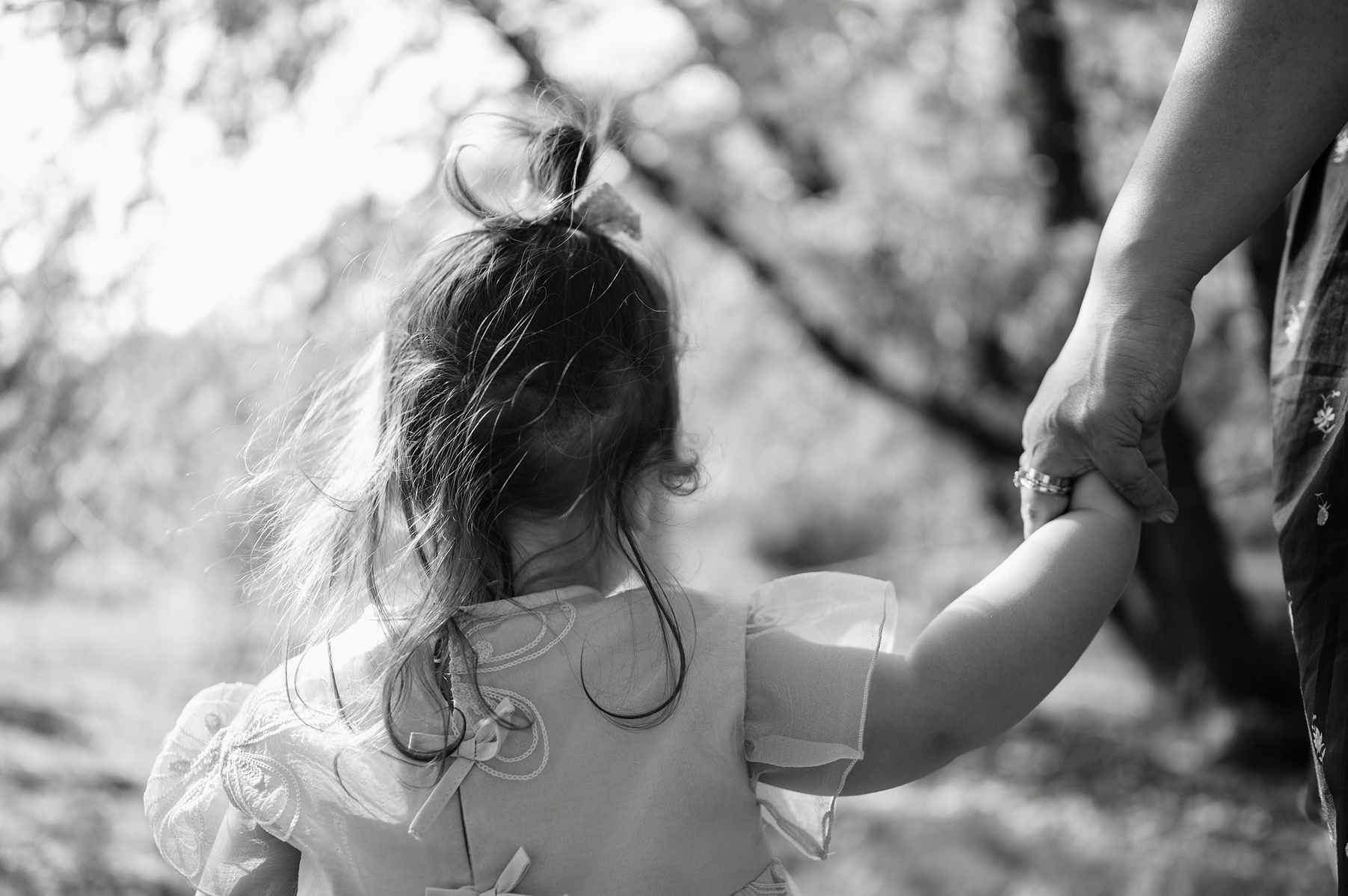 A toddler's unkept ponytail is shown in black in white during photos in Boston's Arnold Arboretum in spring.  Photo by West Roxbury family photographer Korri Leigh Photography