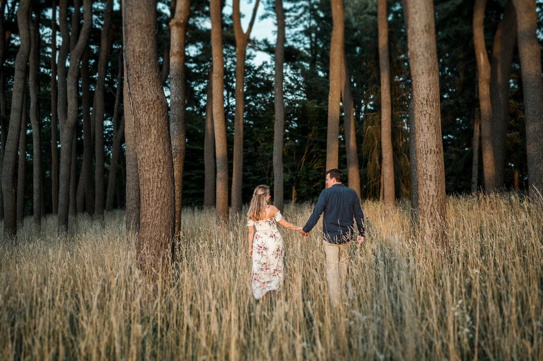 a couple walk hand in hand among large trees and tall grasses in the arnold arboretum