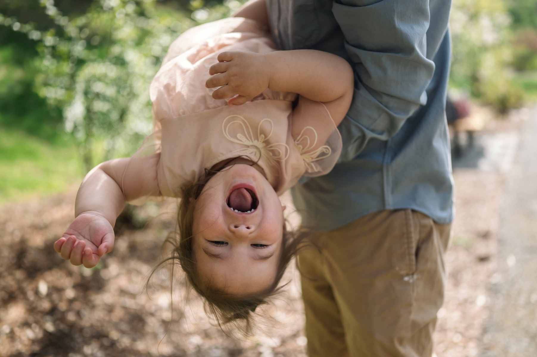 A toddler smiles while held upside down by her father in Boston's Arnold Arboretum in spring.  Photo by West Roxbury family photographer Korri Leigh Photography