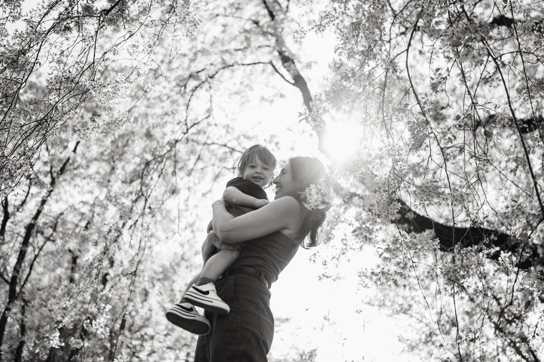 A mom and son in the flowering trees of the Arnold Arboretum in spring
