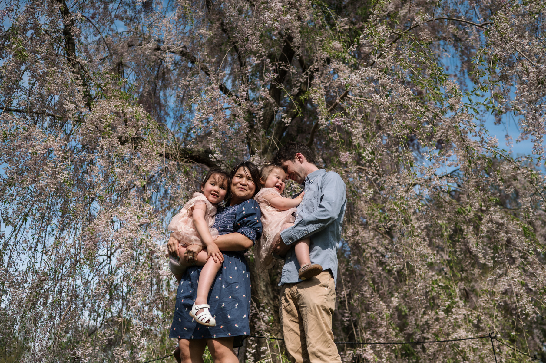 A family poses for a photo in front of pink flowering trees in Boston's Arnold Arboretum in spring.  Photo by West Roxbury family photographer Korri Leigh Photography