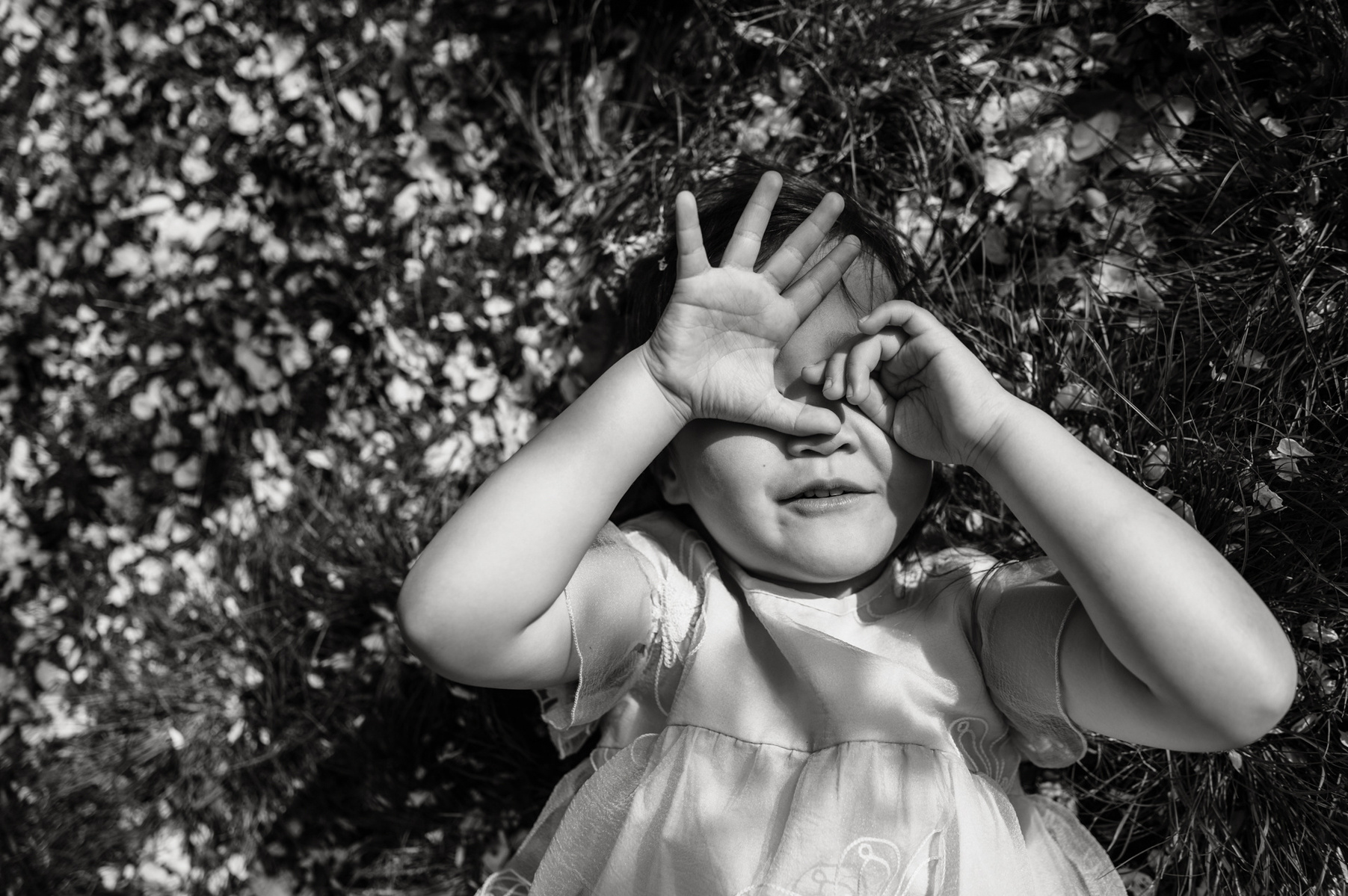 A young girl lays on the grass during their family photo session in Boston's Arnold Arboretum in spring.  Photo by West Roxbury family photographer Korri Leigh Photography