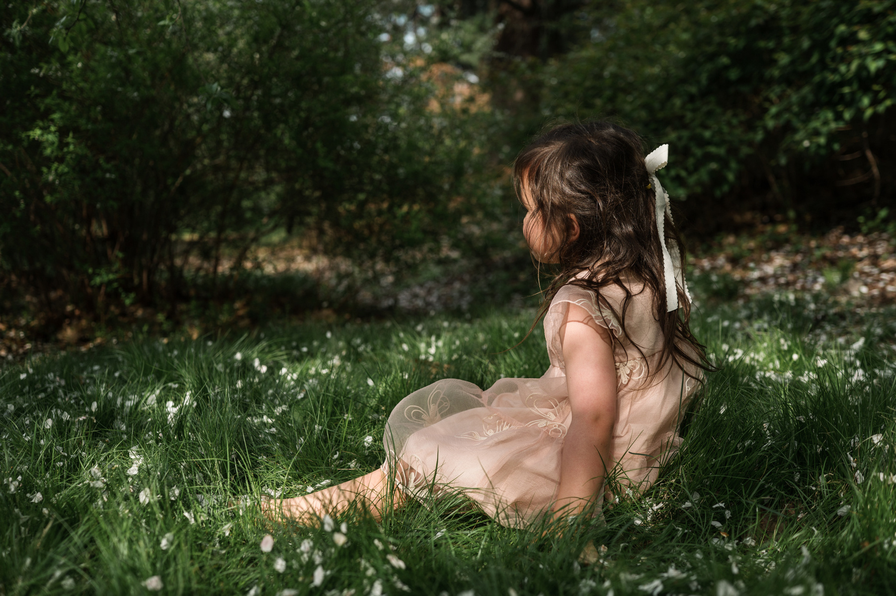 A young girl sits on the grass during their family photo session in Boston's Arnold Arboretum in spring.  Photo by West Roxbury family photographer Korri Leigh Photography