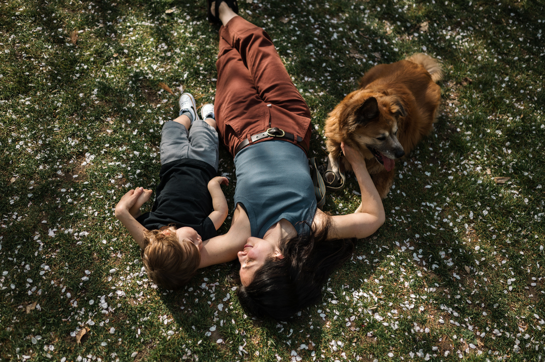A mother lies in the flower petals with her son during her Jamaica Plain family photo session in the Arnold Arboretum