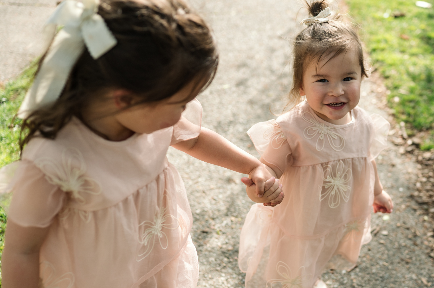Two young sisters in pink dresses hold hands and smile during their family photo session in Boston's Arnold Arboretum in spring.  Photo by West Roxbury family photographer Korri Leigh Photography