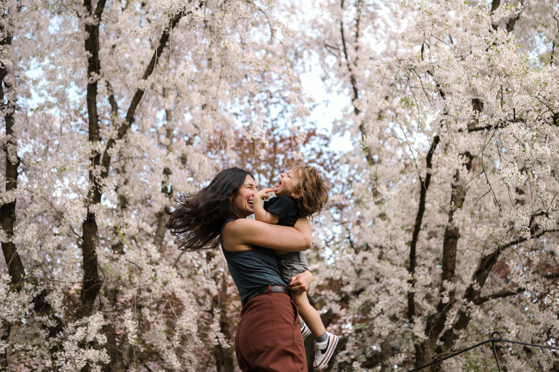 Spring family photos in the arnold arboretum captured by boston family photographer Korri Leigh Photography