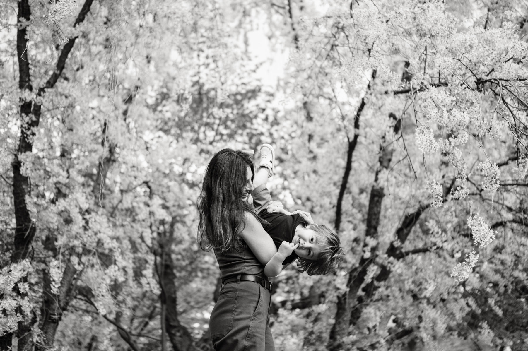 A motherhood photoshoot in the Arnold Arboretum  in spring captured by west roxbury family photographer Korri Leigh Crowley