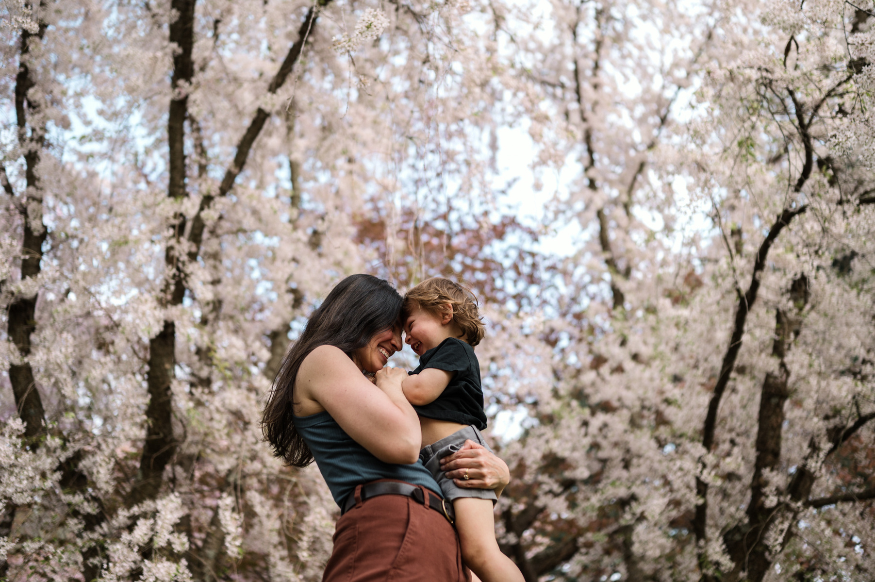 Spring motherhood photos in the arnold arboretum captured by boston family photographer Korri Leigh Photography