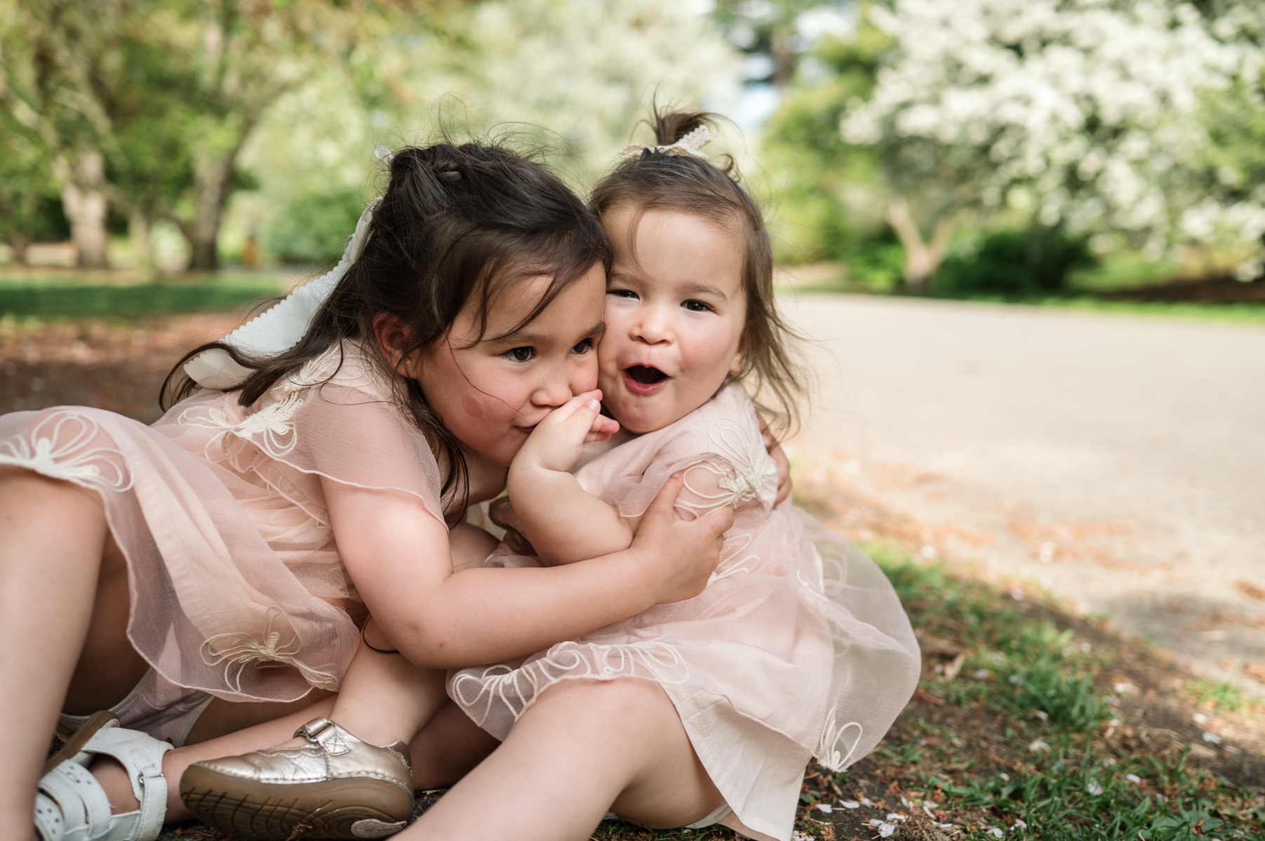 Two young sisters in pink dresses kiss and smile during their family photo session in Boston's Arnold Arboretum in spring.  Photo by West Roxbury family photographer Korri Leigh Photography