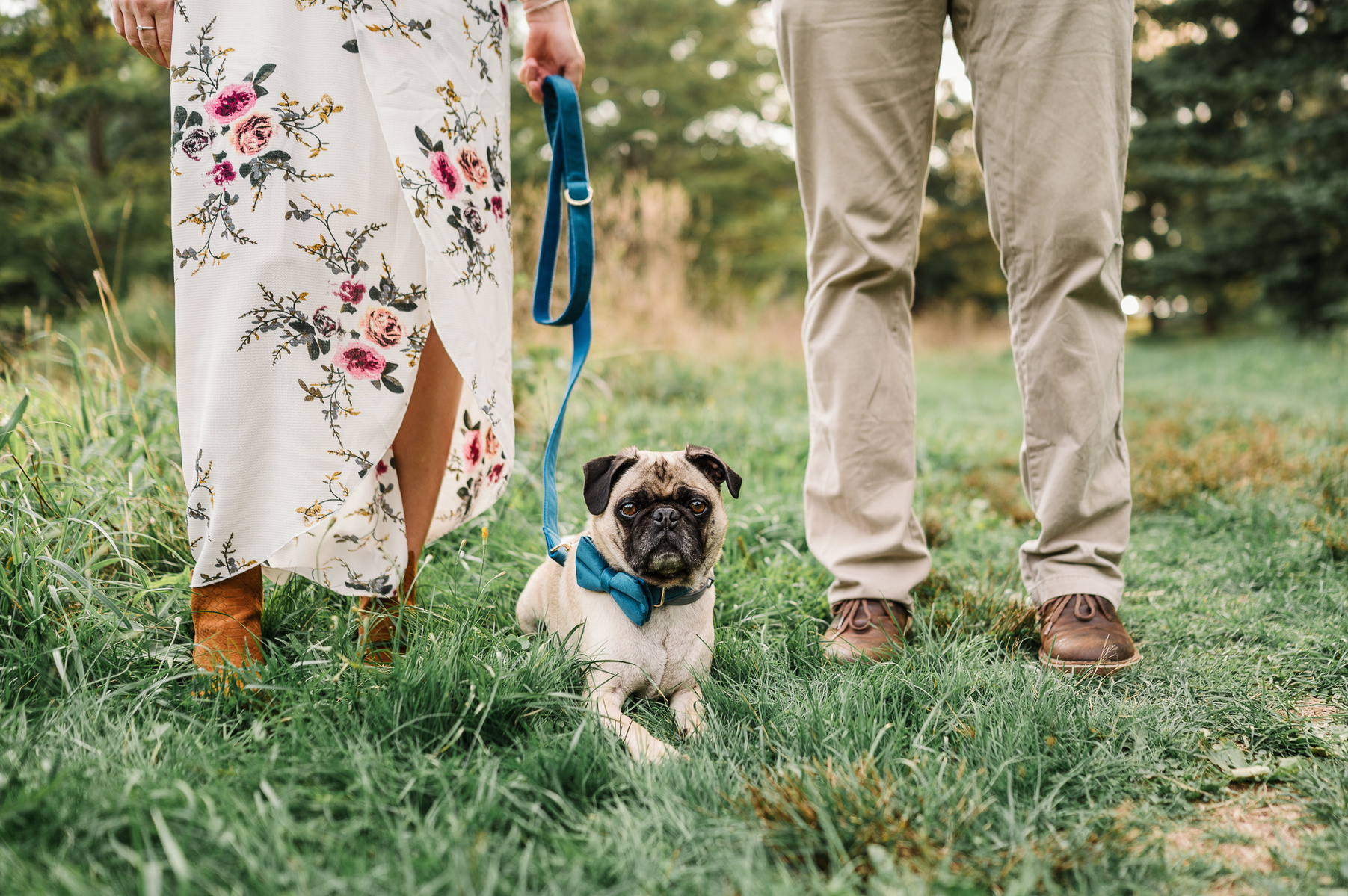 A pug sits between his parents at their boston engagement session