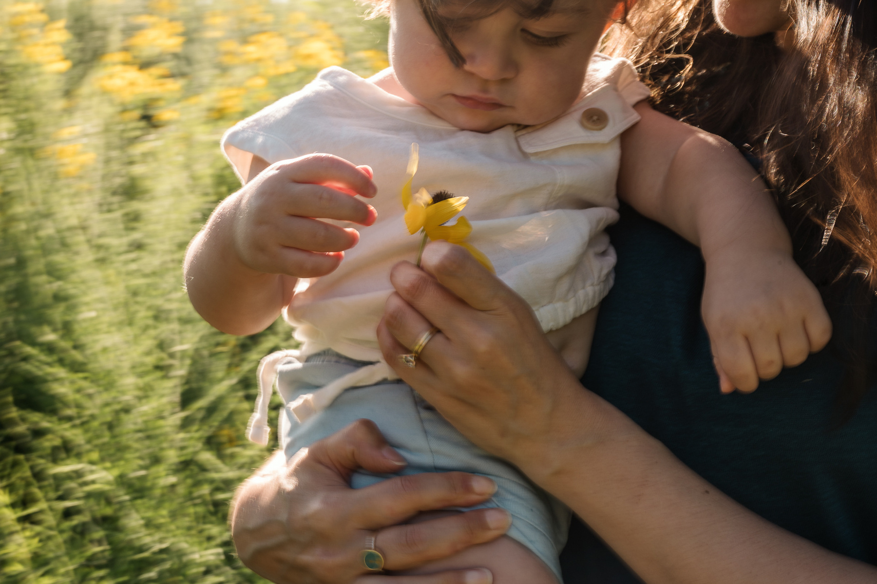 A baby holds a flower  at Fisher Hill Reservoir Park in Brookline MA