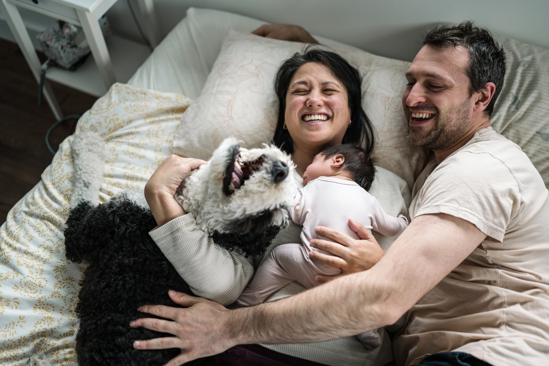 A dog cuddles and licks his parents during an arlington newborn photography session
