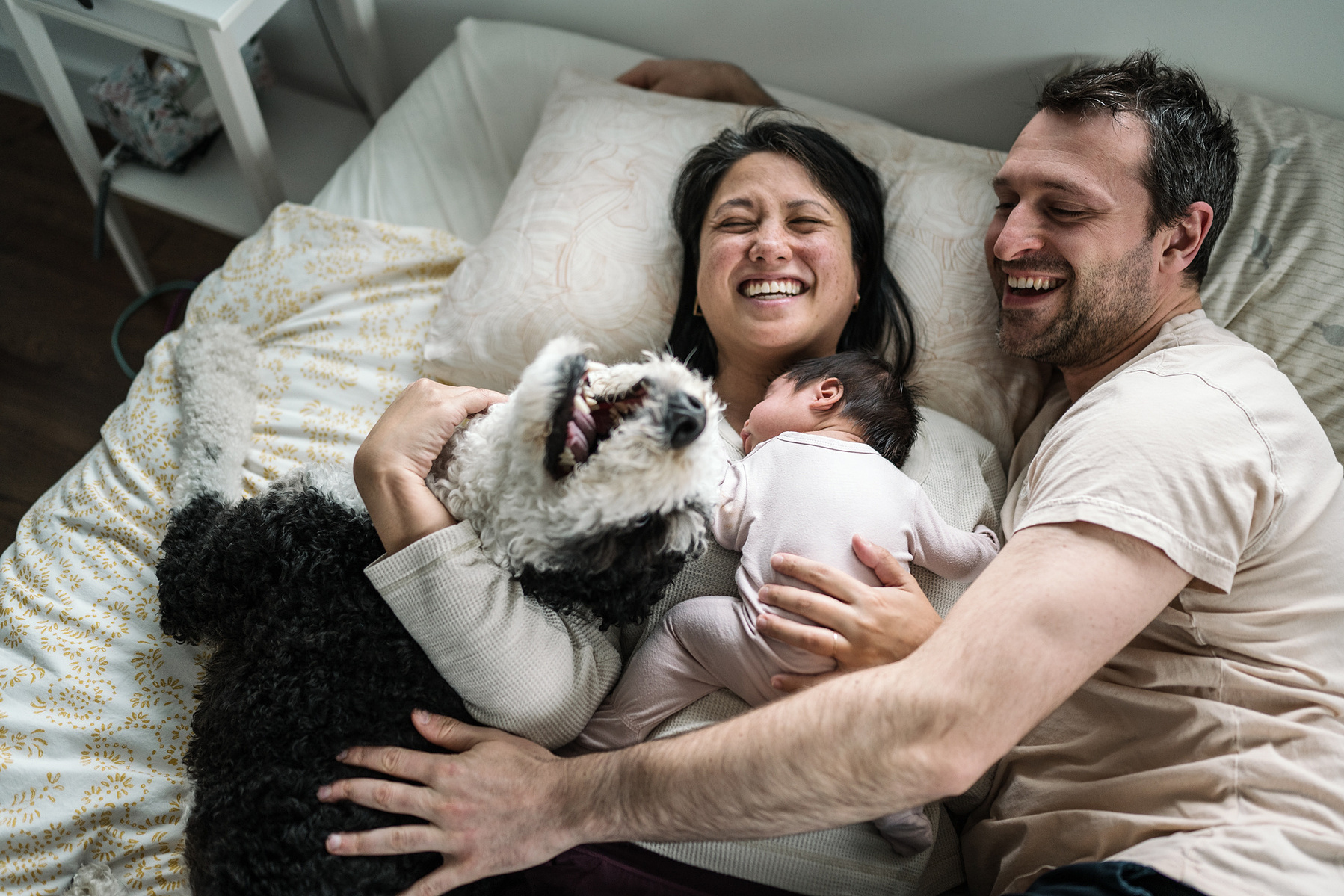 A dog cuddles and licks his parents during an arlington newborn photography session