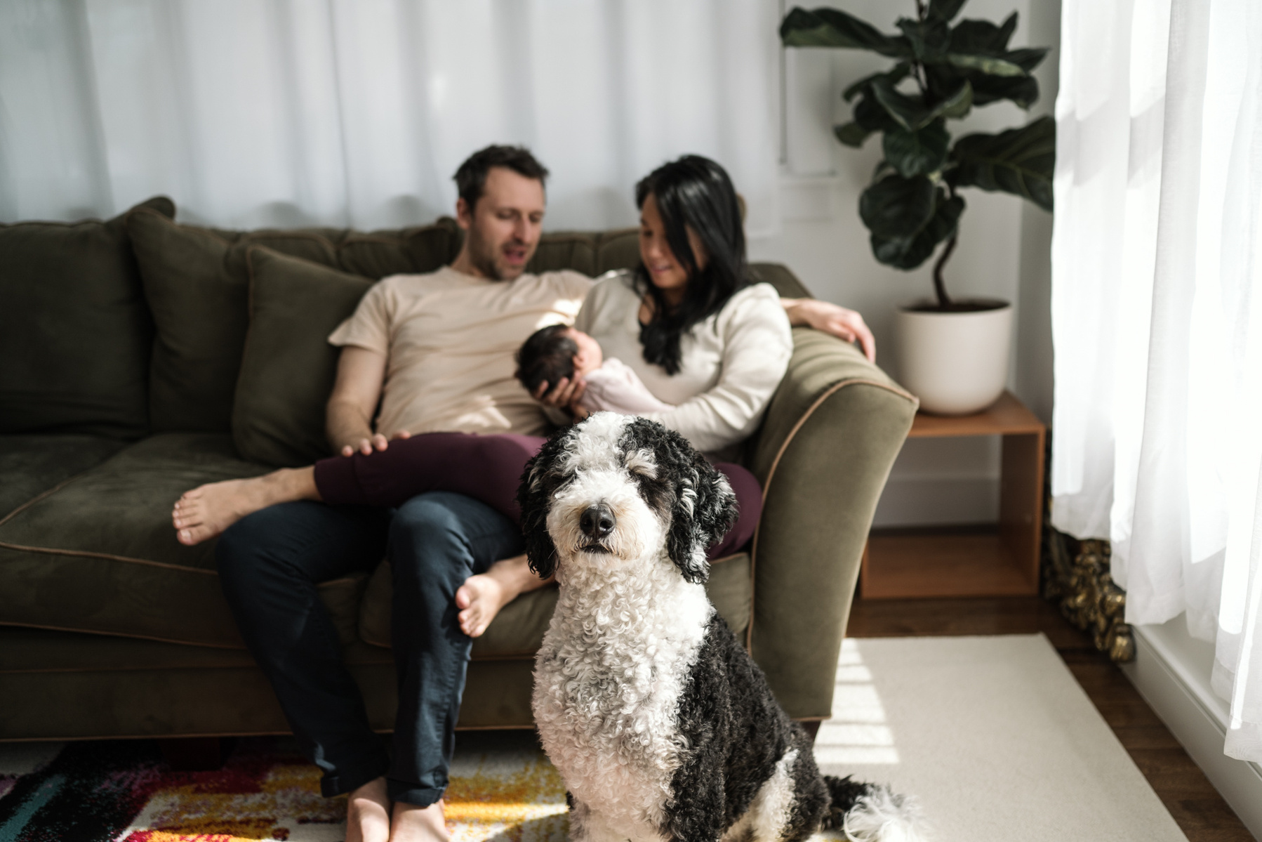 A family cuddles with their dog and baby during an arlington ma newborn photography session
