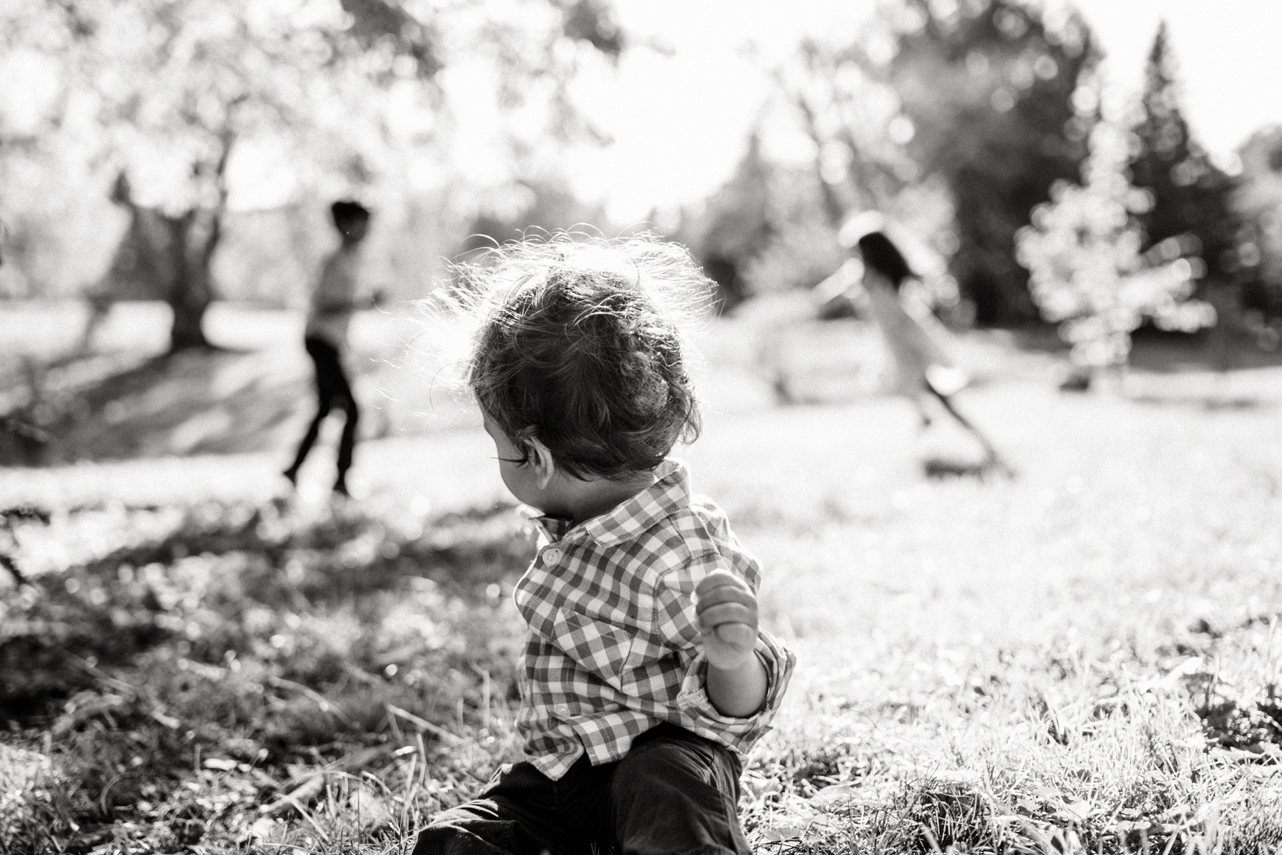 Young kids play in the arnold arboretum during their boston family photography session by west roxbury family photographer korri leigh crowley