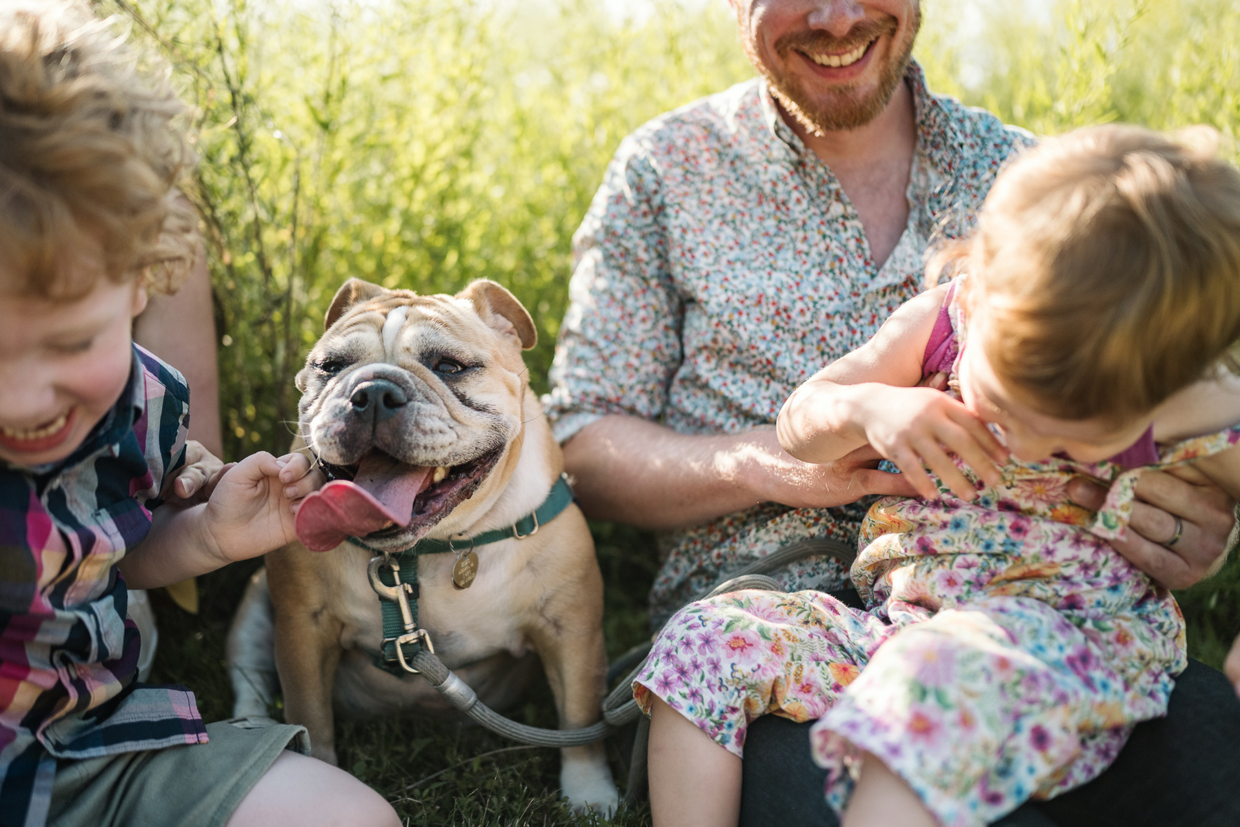 A dog sits in the middle of a family photo session at Fisher Hill Reservoir Park in Chestnut Hill by Brookline family photographer Korri Leigh Photography.