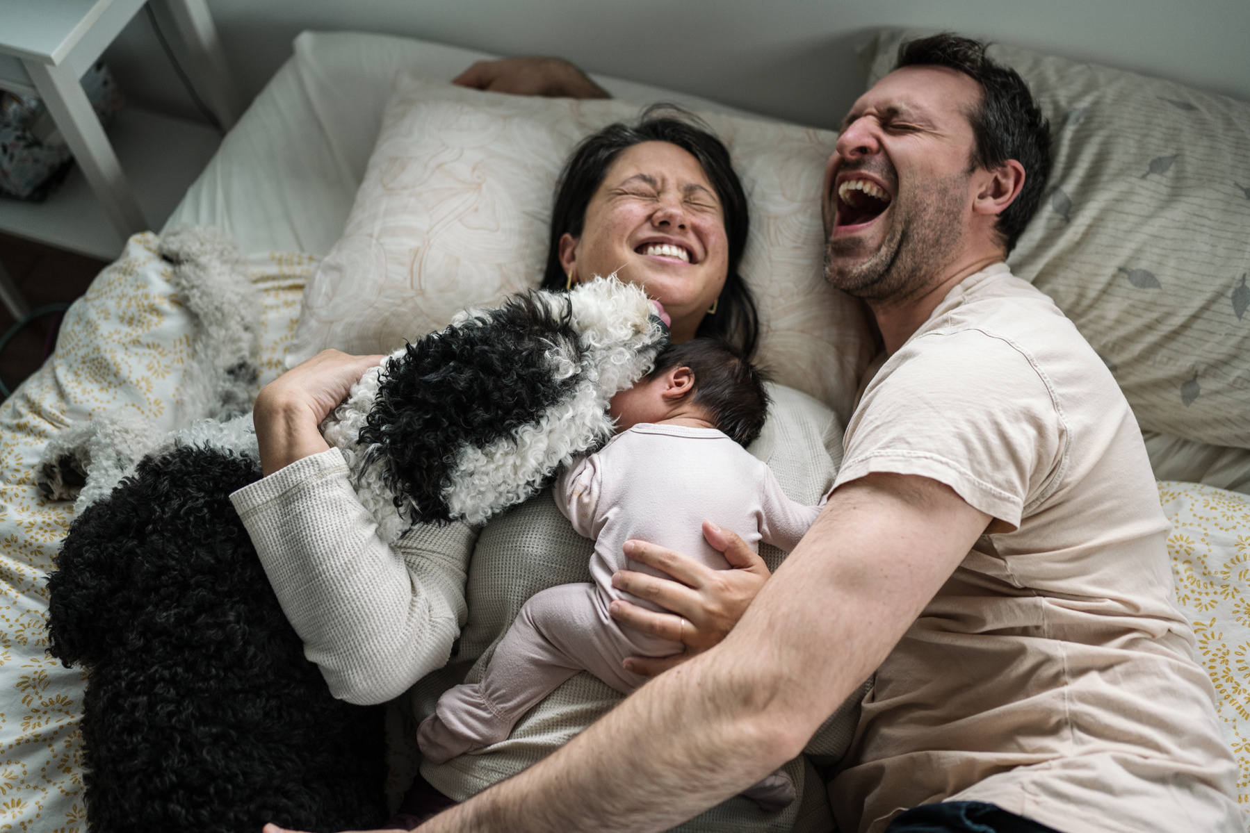 Dad laughs while a dog cuddles and licks his parents during an arlington newborn photography session