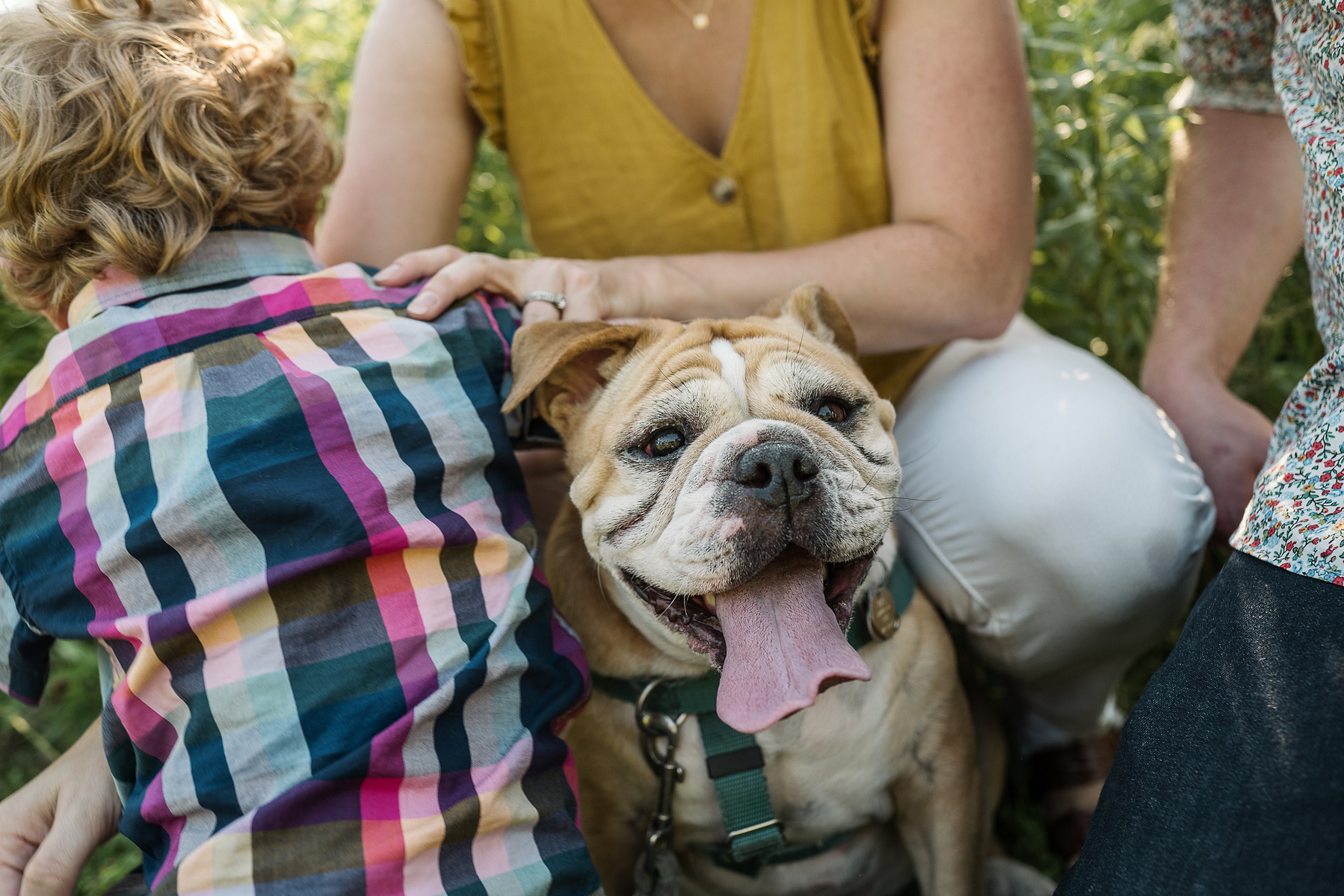 A dog sits in the middle of a family photo session at Fisher Hill Reservoir Park in Chestnut Hill by Brookline family photographer Korri Leigh Photography