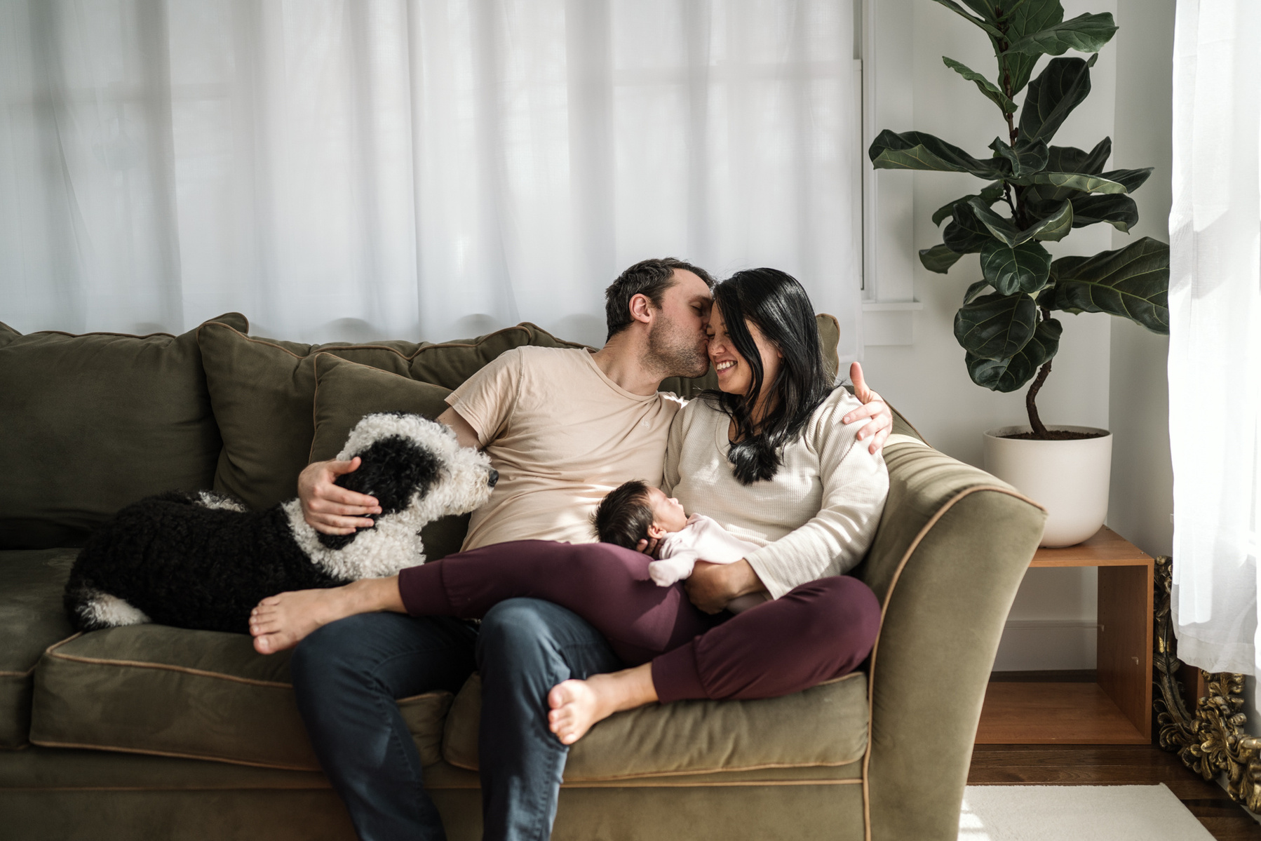 A family cuddles with their dog and baby during a Boston newborn photography session
