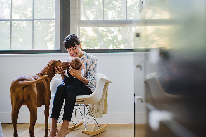 A light brown vizsla licks the face of a small baby being held in the lap of her mother who is sitting in a rocking chair while both are framed by a large black dresser in the right of the frame