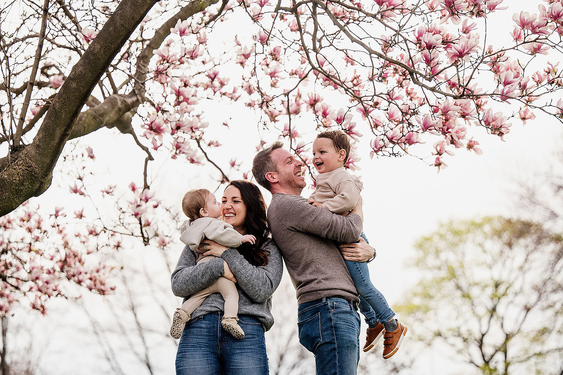 A family snuggles under a flowering tree during their boston family photography session captured by west roxbury family photographer korri leigh crowley