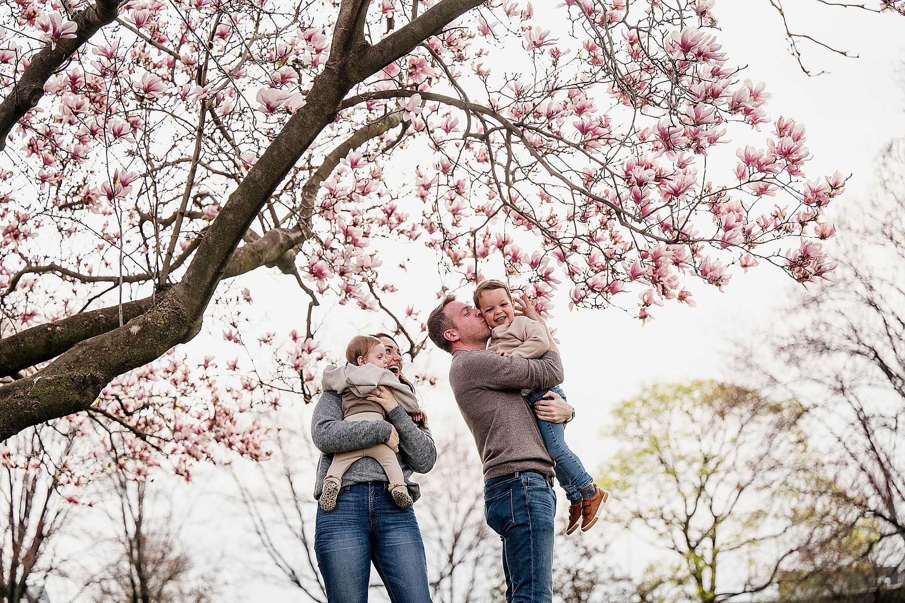 A family of 4 under a flowering tree during their boston family photography session captured by west roxbury family photographer korri leigh crowley