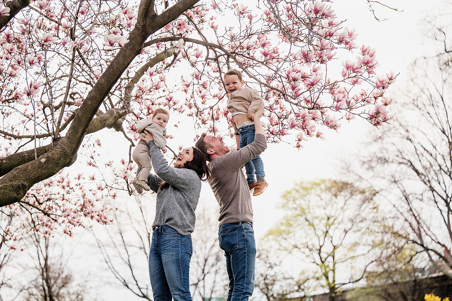 A family under a flowering tree during their boston family photography session captured by west roxbury family photographer korri leigh crowley