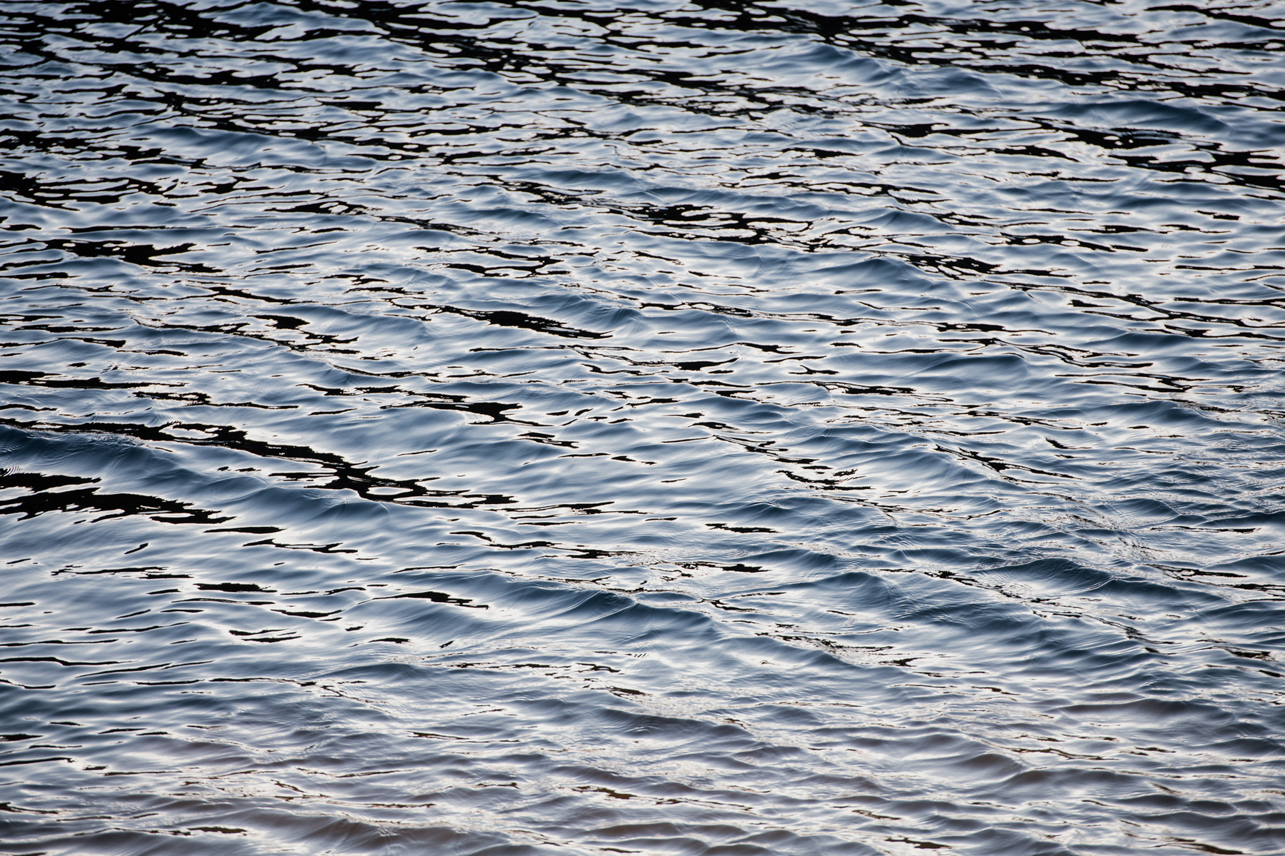 light is reflected off the Atlantic Ocean in Boston Harbor as seen from the Charleston Navy Yard