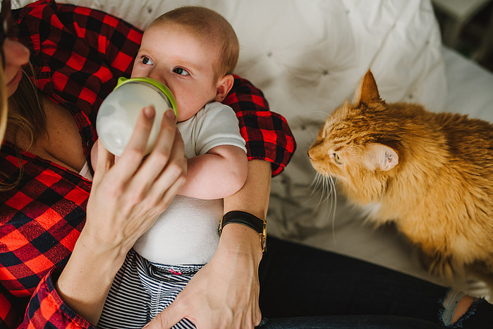 A long haired orange cat tentatively leans in to sniff a baby being fed a bottle while being held by her mother