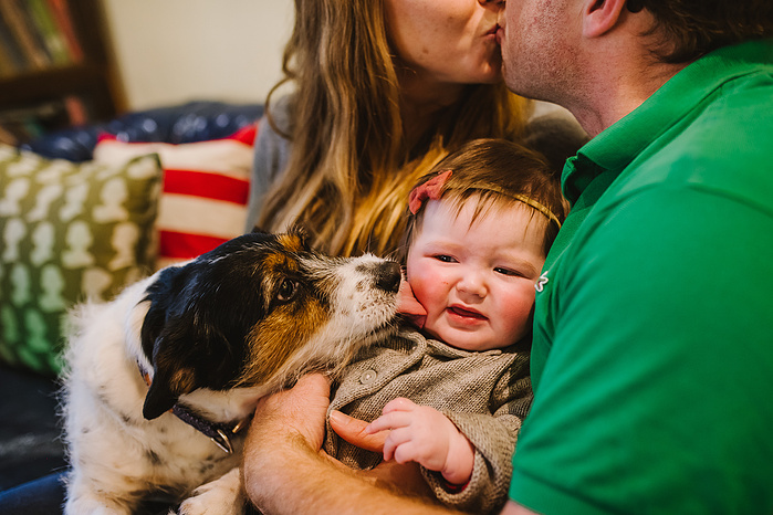 A small dog licks the face of baby while her parents kiss above her head. Colorful pillows are in the background