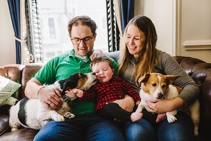 A baby sits on their parent's lap while a small dog licks their face. Another dog sits on the couch beside them