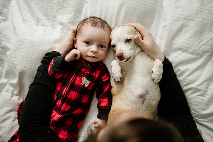 A newborn in red plaid pajamas lays on his back beside a chiweenie also laying on it's back on a bed with the mother's arms around them