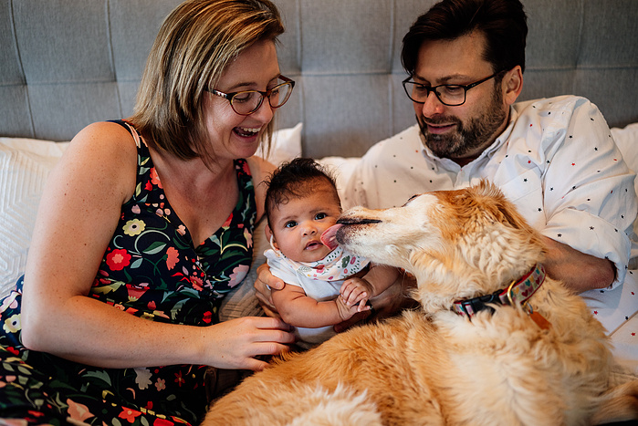 A golden retriever licks the cheek of a baby while her mother and father laugh and look on
