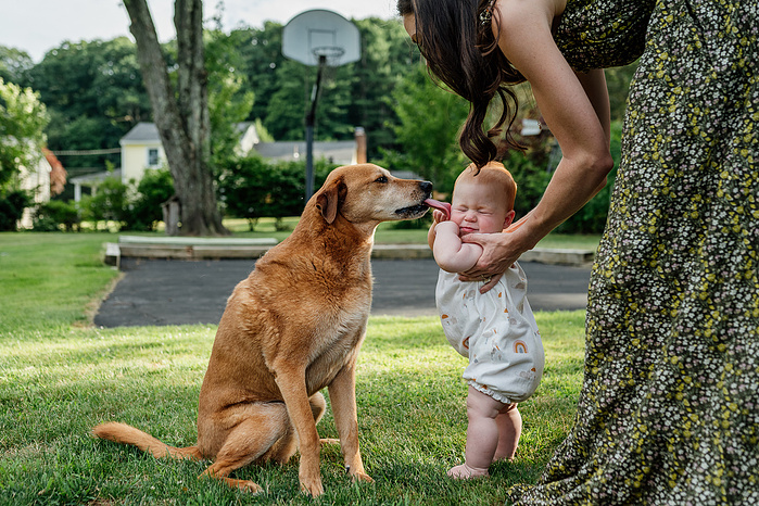 A medium tan dog licks the cheek of a baby being helped to stand by her mother in a long floral dress