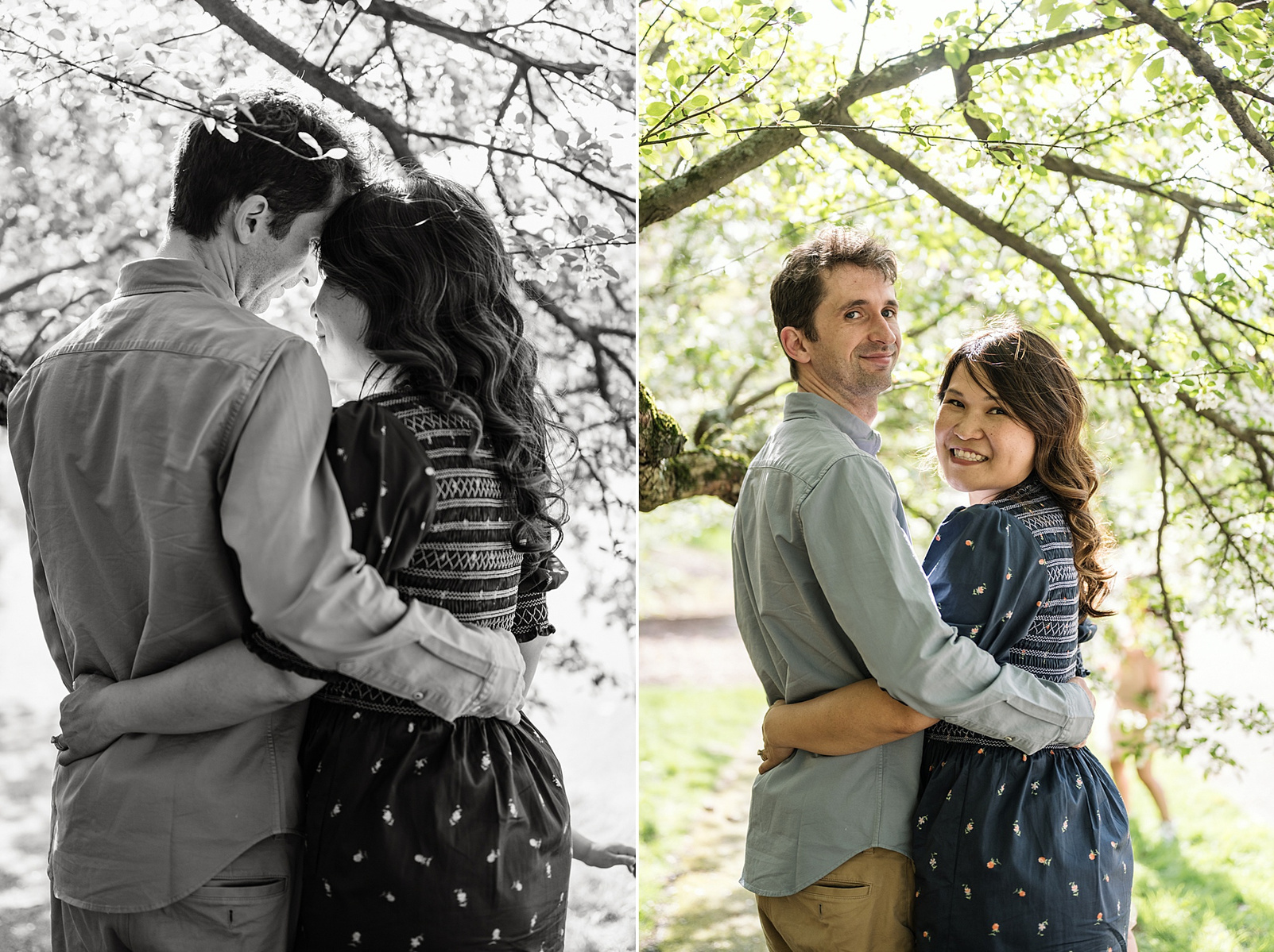 A couple poses for a photo under flowering trees in Boston's Arnold Arboretum in spring.  Photo by West Roxbury family photographer Korri Leigh Photography