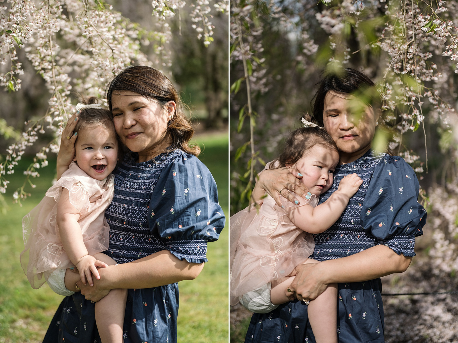 A toddler snuggles with her mother for a photo in front of pink flowering trees in Boston's Arnold Arboretum in spring.  Photo by West Roxbury family photographer Korri Leigh Photography