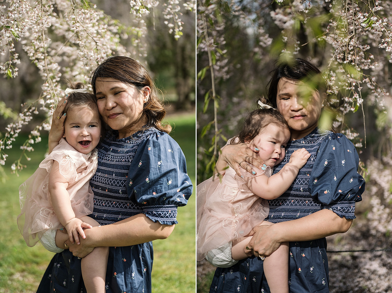A toddler snuggles with her mother for a photo in front of pink flowering trees in Boston's Arnold Arboretum in spring.  Photo by West Roxbury family photographer Korri Leigh Photography