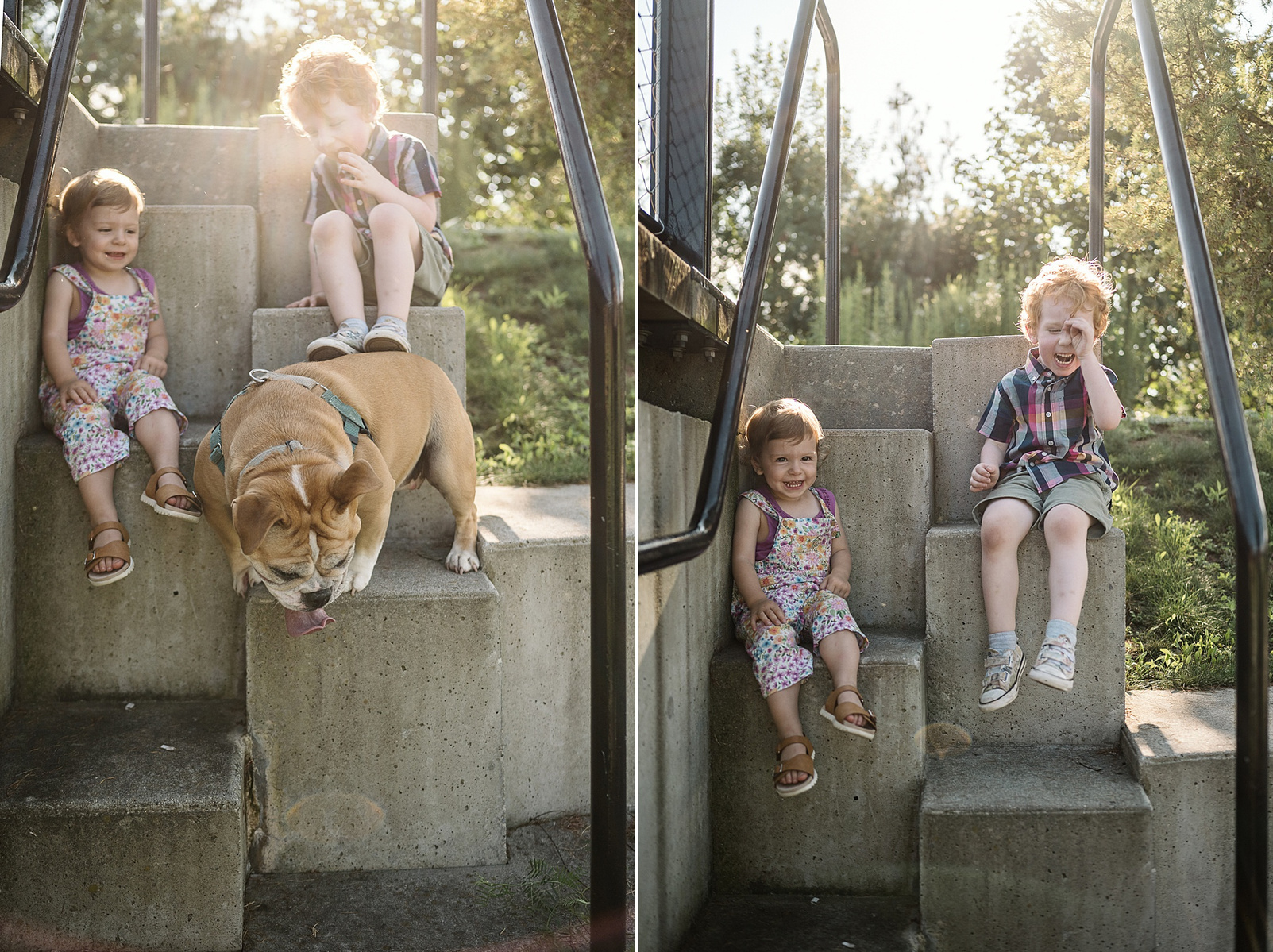 Two children and their dog play on the stairs at Fisher Hill Reservoir Park in Chestnut Hill by Brookline family photographer Korri Leigh Photography