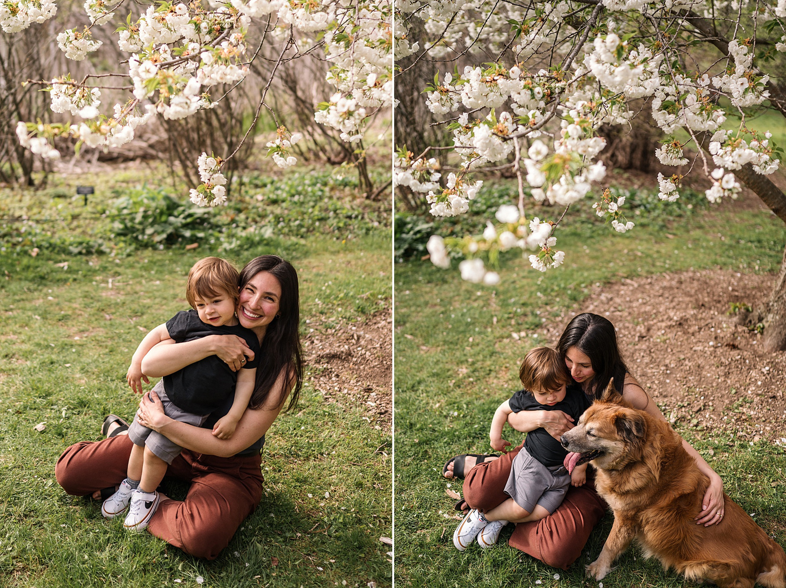 A motherhood photoshoot in the Arnold Arboretum captured by west roxbury family photographer Korri Leigh Crowley