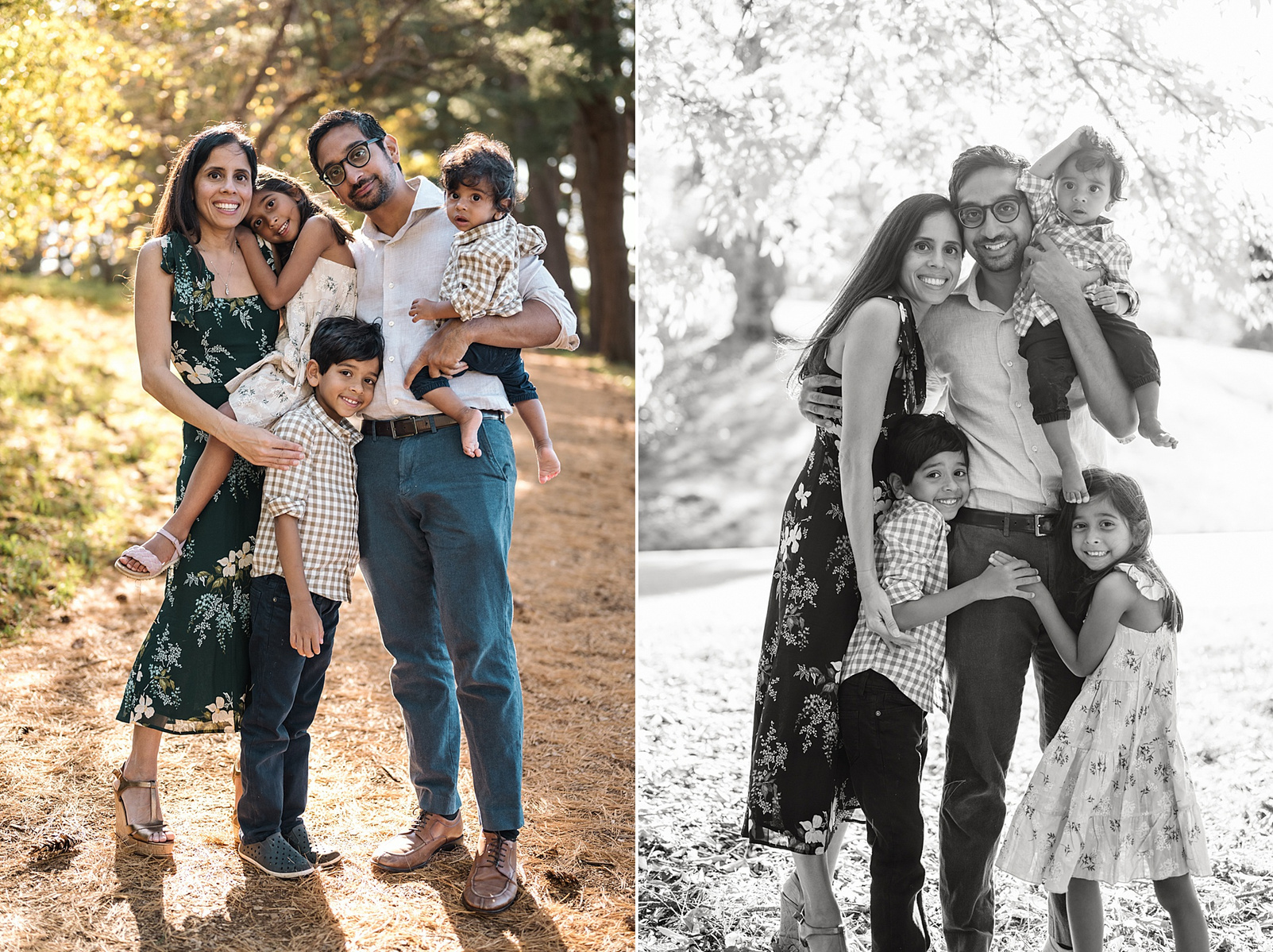 A family portrait in the arnold arboretum by Boston child photographer korri leigh crowley