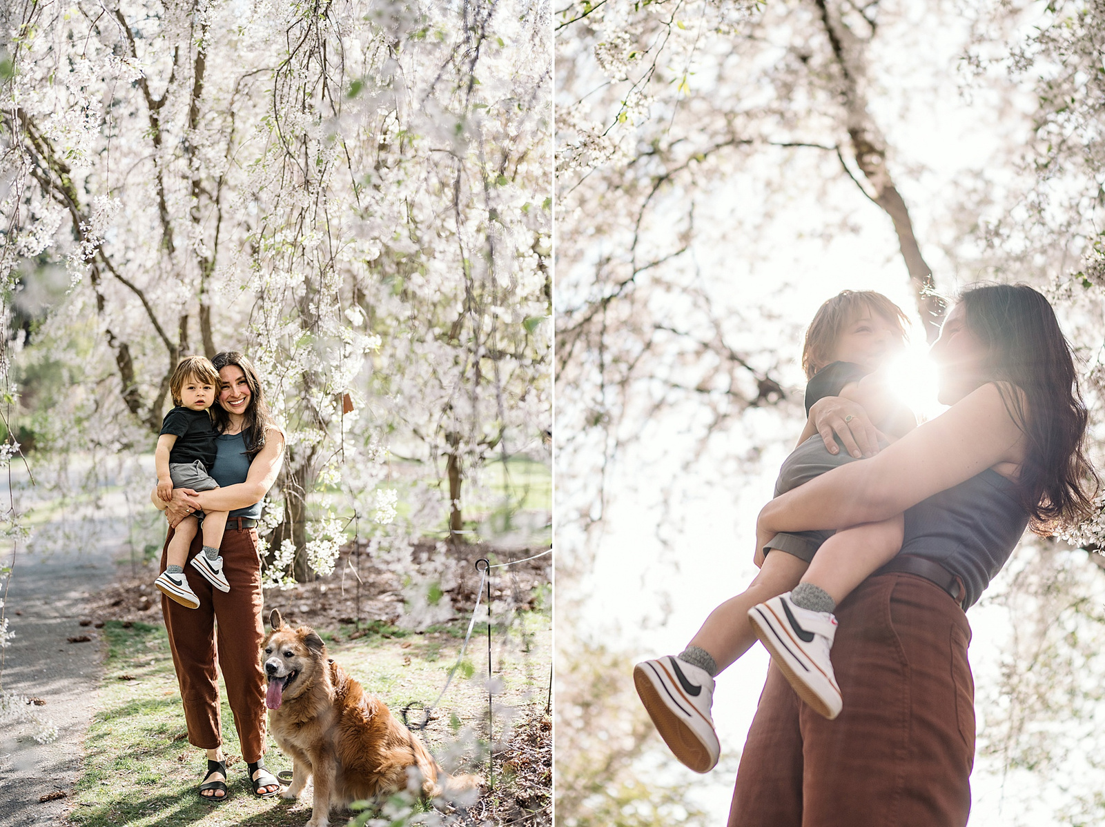 A mother poses with her son during her Jamaica Plain family photo session in the Arnold Arboretum