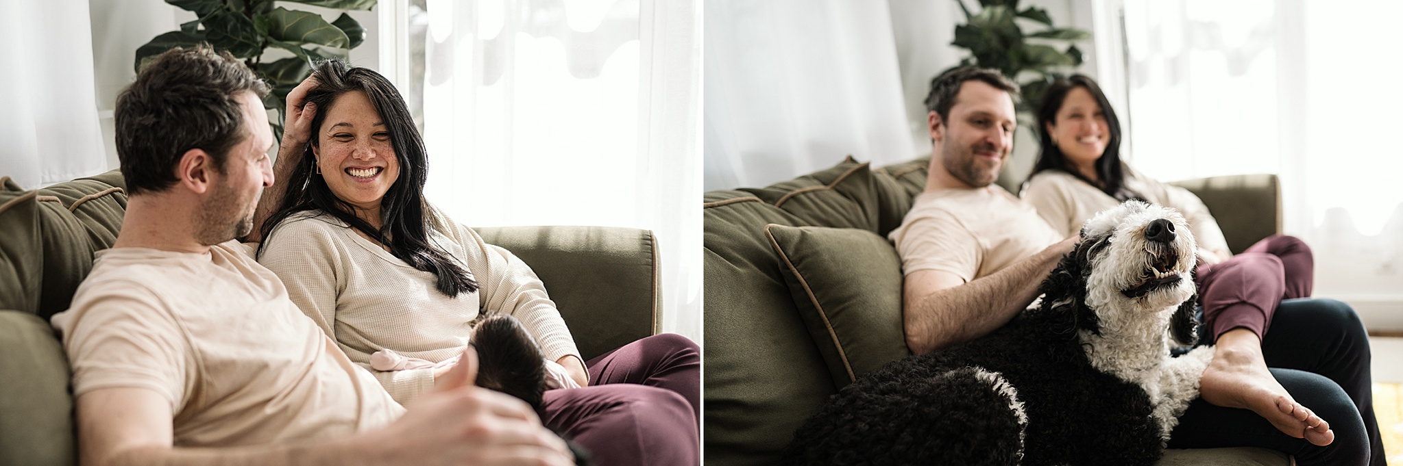 A family cuddles with their dog and baby during an arlington ma newborn photography session