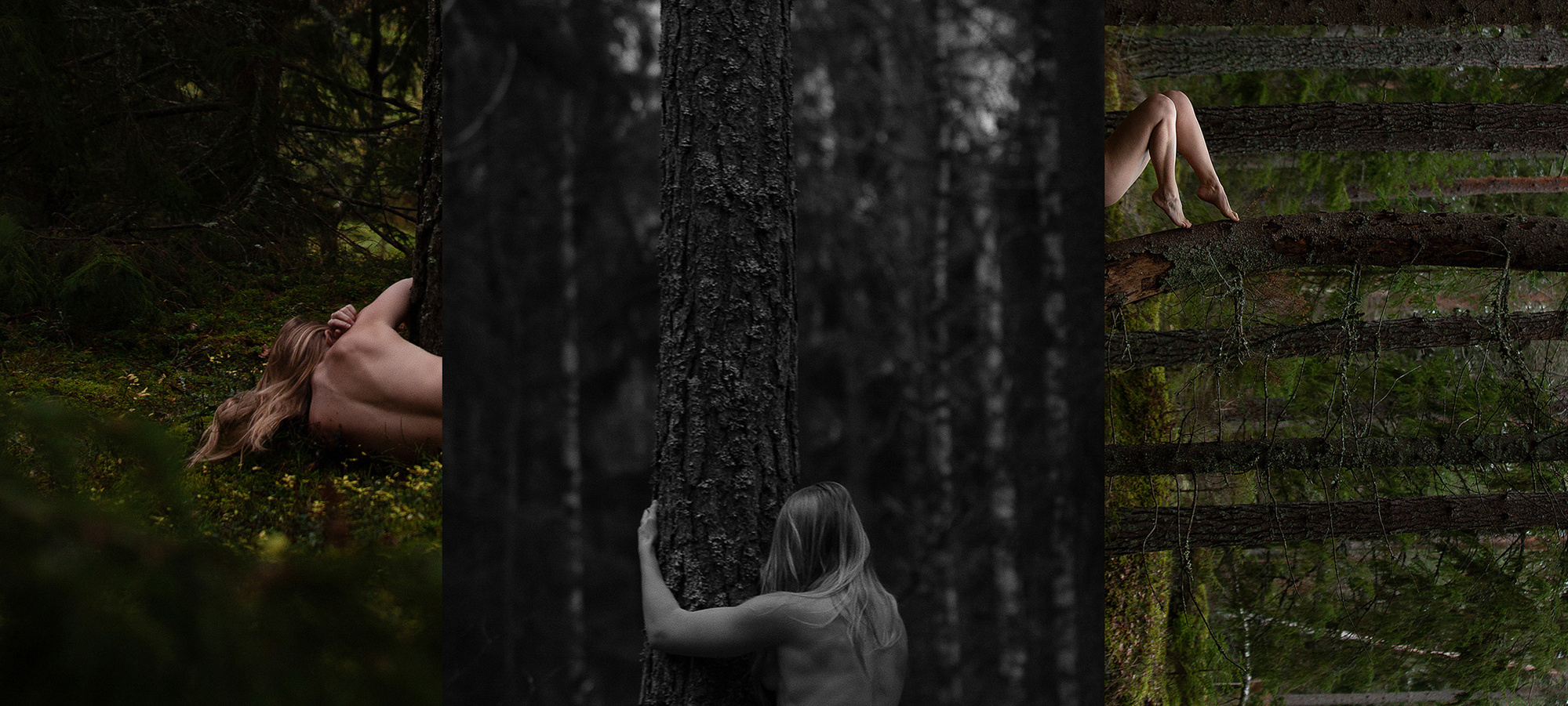 Nude photographer triptych - traveling art model based in Washington, hugging trees nude in Stockholm, Sweden.
