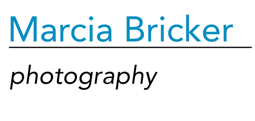 MARCIA BRICKER | photography