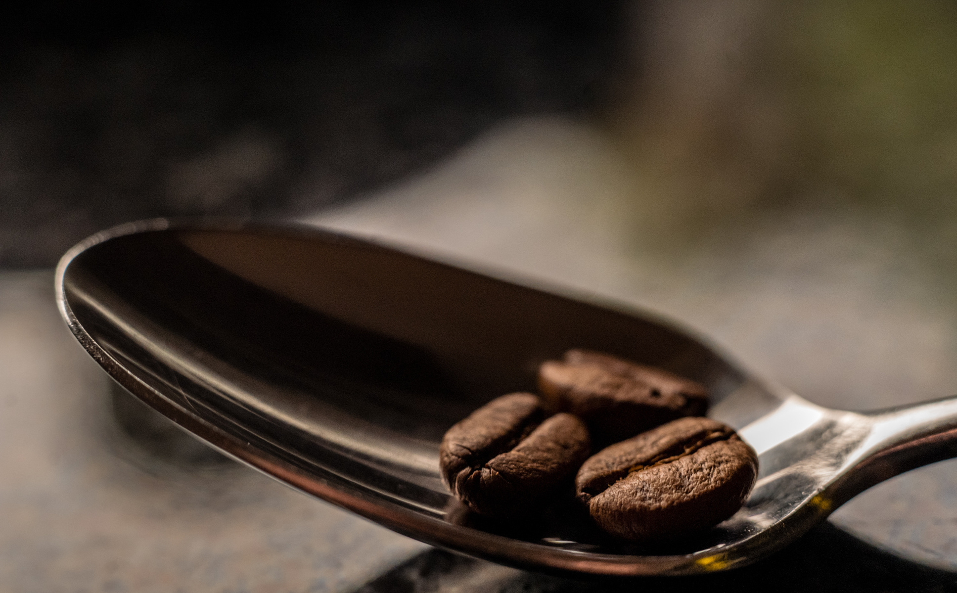 Freshly roasted, coffee beans on a spoon