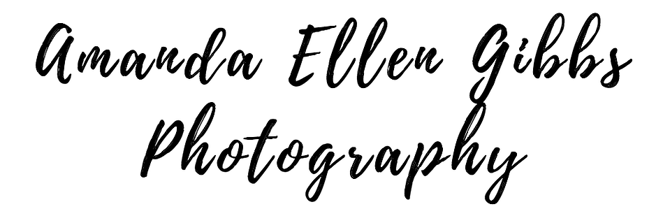 Amanda Ellen Gibbs Photography